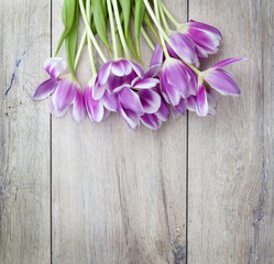 Pink tulips on wooden background