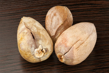 Closeup of dry avocado kernels