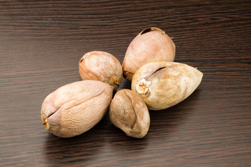 Closeup of dry avocado kernels