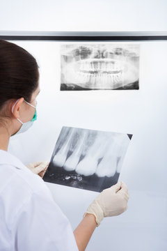 Dentist Examining Xray