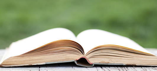Open book on green background
