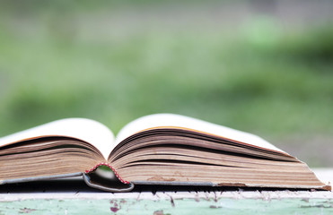 Open book on green background
