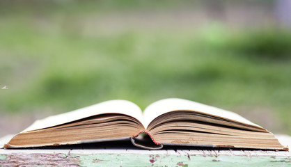 Open book on green background