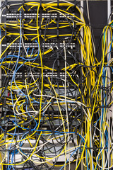 Tangled Network