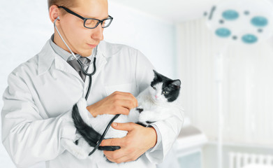 Veterinarian holds a feline