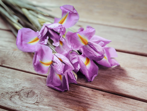 Bouquet of flowers Irises