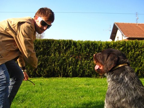 Man And Dog Playing Fetch