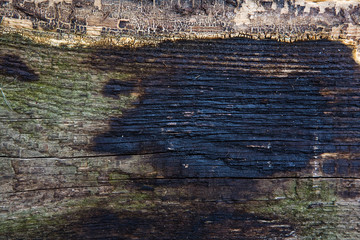 old wood texture