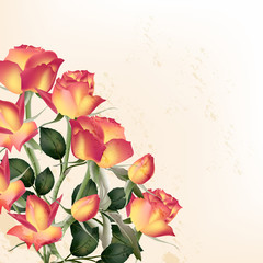 Beautiful vector  roses on a grunge white background