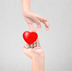 Obraz premium Heart in hands