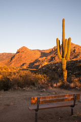 Catalina State Park