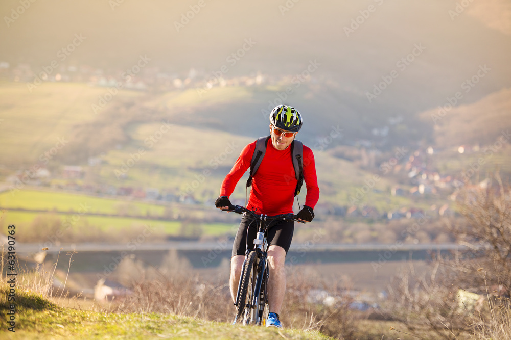 Wall mural Mountain biker