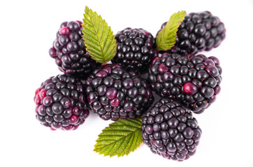 blackberries