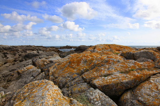 Ecosyst&egrave;me: environnement prot&eacute;g&eacute; sur le littoral.
