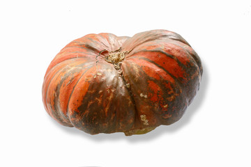 Pumpkin on the withe background