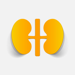 realistic design element: kidneys, medical
