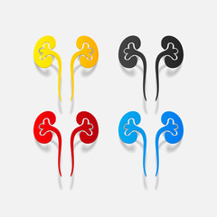 realistic design element: kidneys, medical