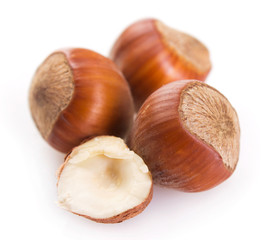 Hazelnut