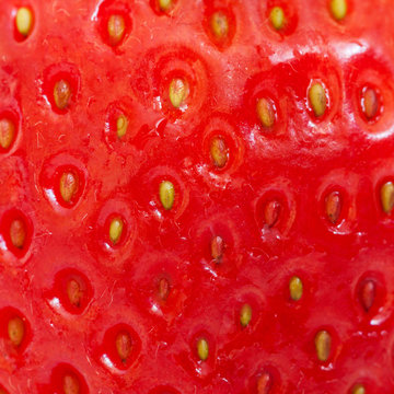 Strawberry texture.