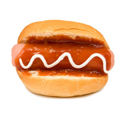 Isolated image of a hot dog on a white background