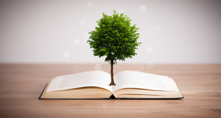 Tree growing from an open book