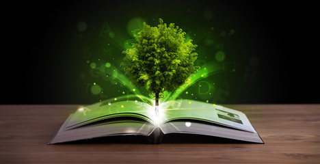 Open book with magical green tree and rays of light