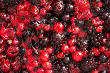 Jelly Topping With Blueberries, Blackberries And Red Cherries