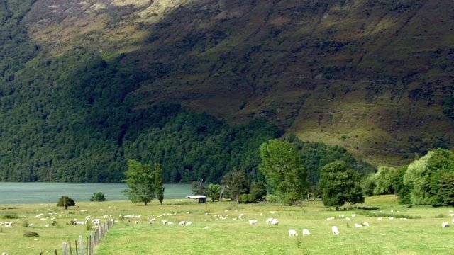 An old sheep station in Paradis New Zealand
