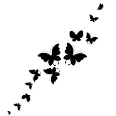 butterflies design