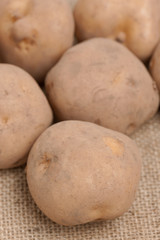 ジャガイモ　男爵芋