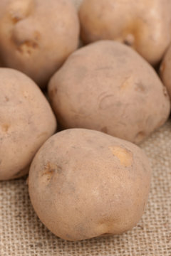 男爵芋 Images Browse 341 Stock Photos Vectors And Video Adobe Stock 男爵芋 Images Browse 341 Stock Photos Vectors And Video Adobe Stock