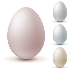 Set of eggs of different colors on a white background, icon eggs