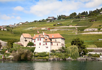 Obraz premium Lavaux region