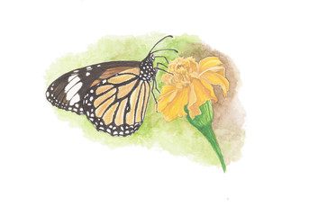 butterfly painting
