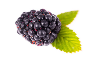 blackberries