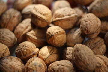 walnut in nutshell