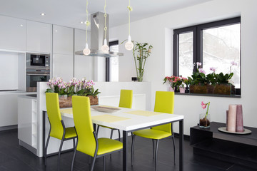 Modern kitchen interior