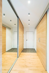 entrance hall with mirror in modern apartment