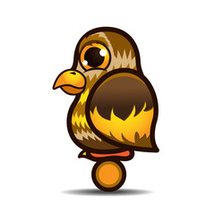 cute little owl bird catoon