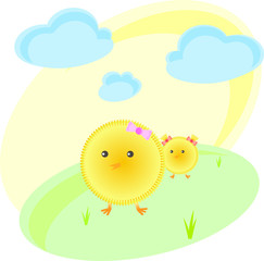 Fototapeta premium Hen and chick