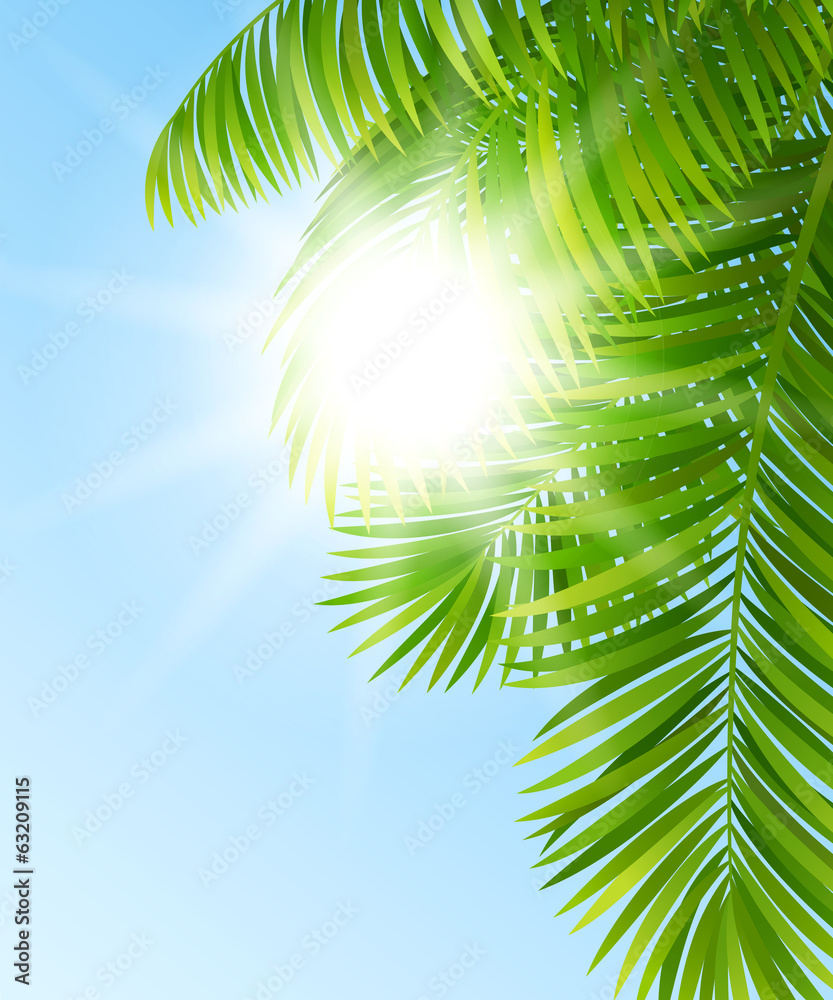 Wall mural branches of palm trees