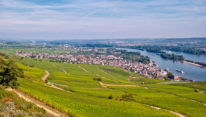 Rüdesheim am Rhein mit Weinbergen und Seilbahn zur Germania