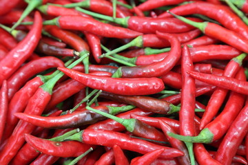 background of thai red chili