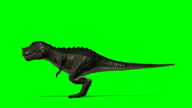Dinosaur Tyrannosaurus T-Rex roars - green screen