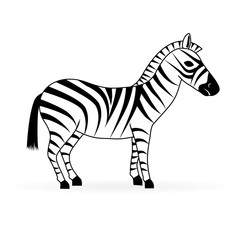 zebra