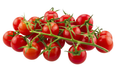 Ripe Fresh Cherry Tomatoes on Branch. Isolated on White