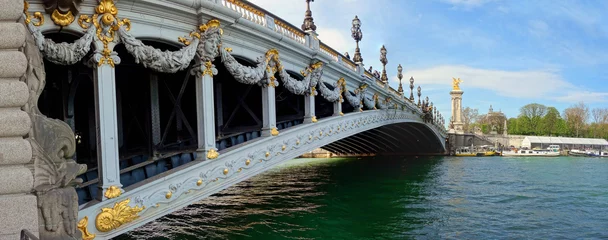 Foto op Plexiglas Pont Alexandre III De Alexandre III-brug in Parijs