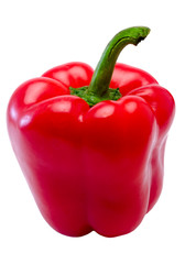 Bulgarian red pepper