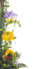 Fototapety  bunch of summer flowers, floral border,isolated