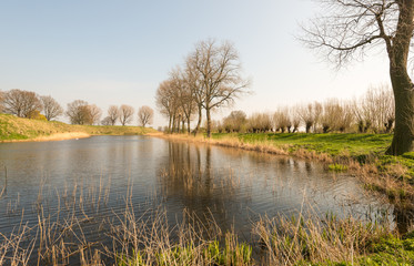 Fototapeta premium Colorful landscape in springtime